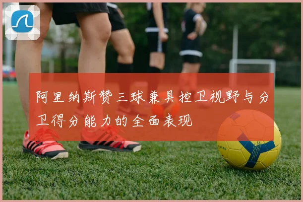 阿里纳斯赞三球兼具控卫视野与分卫得分能力的全面表现